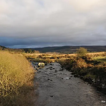 Lettermore Country 4*